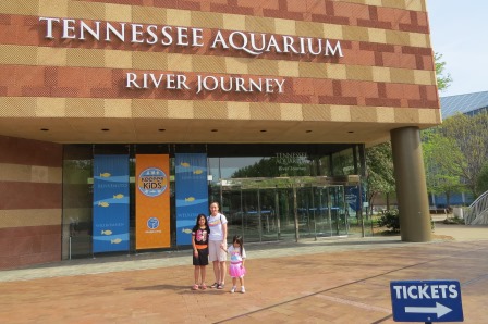 Chattanooga Aquarium